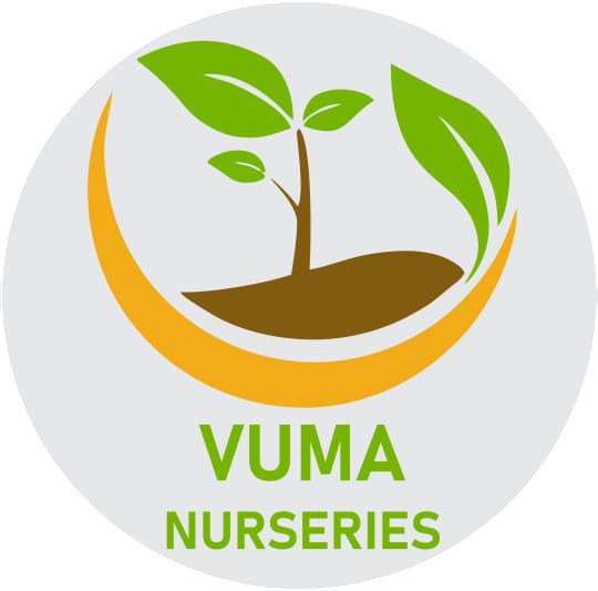 Vuma Nurseries